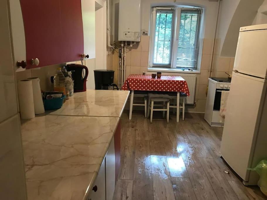 R Castle - 2 Room Apartment Брашов Экстерьер фото