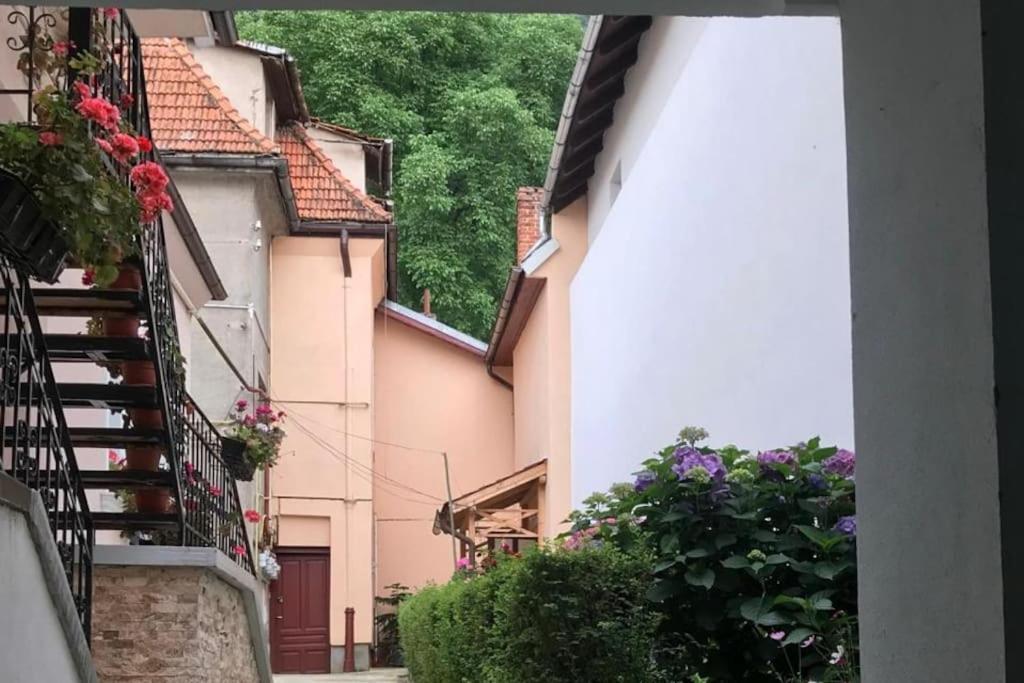 R Castle - 2 Room Apartment Брашов Экстерьер фото